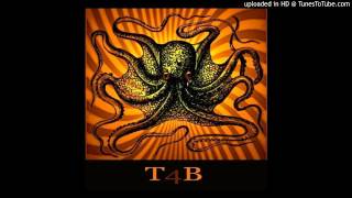 The Atomic Bitchwax -  Wreck You