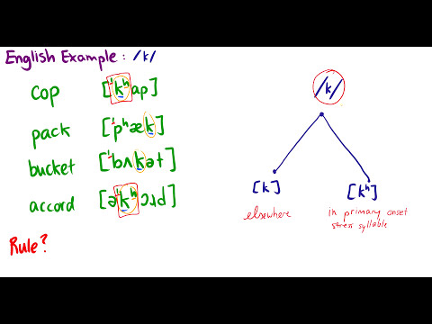 [Introduction to Linguistics] Minimal Pairs, Phonemes, Allophones