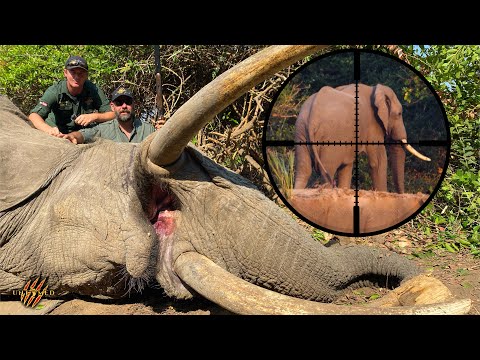 Hyke's Full Untamed Elephant Adventure with Dalton & York Safaris -WIN A FREE BUFFALO HUNT TO AFRICA