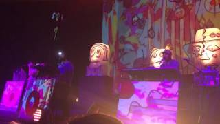 Animal Collective- Golden Gal Live 11/16/16