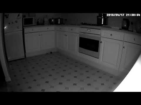 image-Are mice in apartments common?