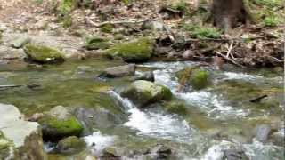 preview picture of video 'Dunnfield Creek Waterfalls, New Jersey'