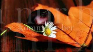 Herbsterwachen- Herbert Grönemeyer