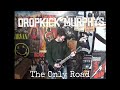 Dropkick Murphys - The Only Road (guitar cover)