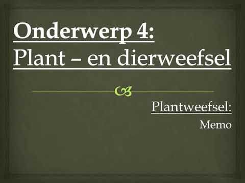 LEWENSWETENSKAP GRAAD 10: 15 Julie 2020 - periode 7 (15107)