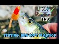 Video Thumbnail for Testing  new soft plastics and catching  Perch