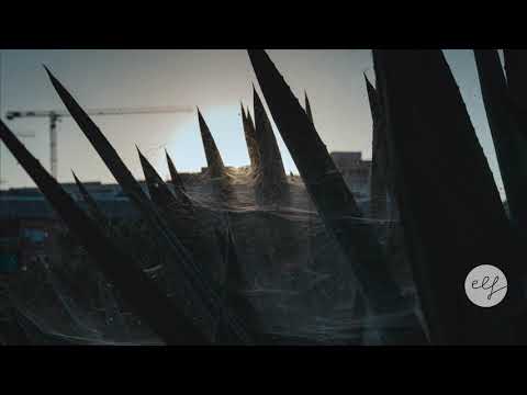 Morcheeba - Mezcal Dream feat. Amanda Zamolo