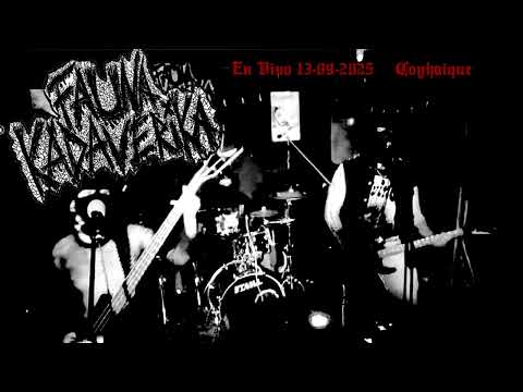 Fauna Kadaverika En vivo  Ruidos Miscelaneos 13-09-2025