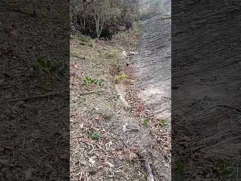Minhas loucuras no Mirante do povoado de São Sebastião Do Sacramento em Minas Gerais - Brasil.