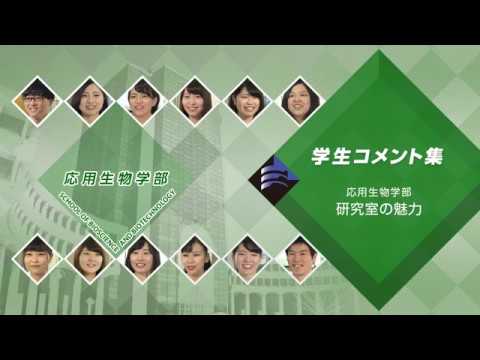 「応用生物学部 学生コメント集」研究室の魅力