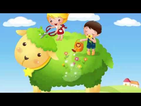 Fasolki - Kipi Kasza  ( Piosenki dla dzieci )