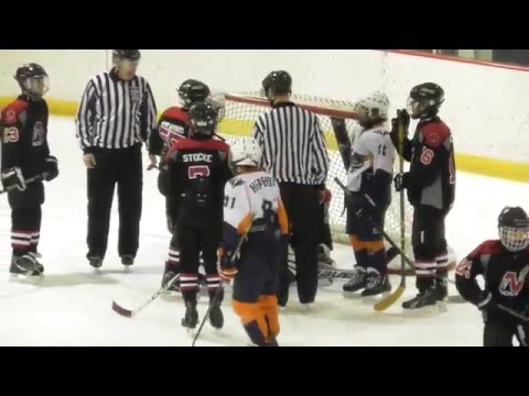 02 Novi Firecats vs. Flint Jr. Firebirds - 3rd Period - 3/6/2016