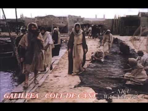 Nicu Wagner - Galileea Colt De Cant