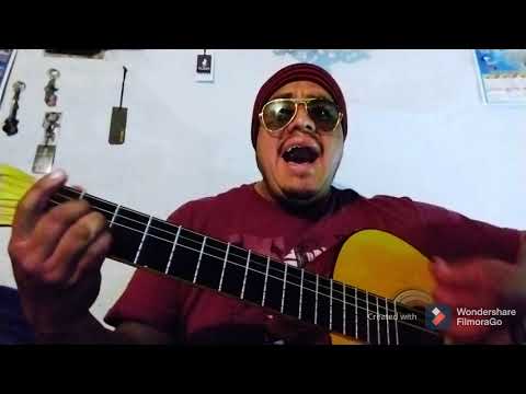 Dejate seguir - Elefante