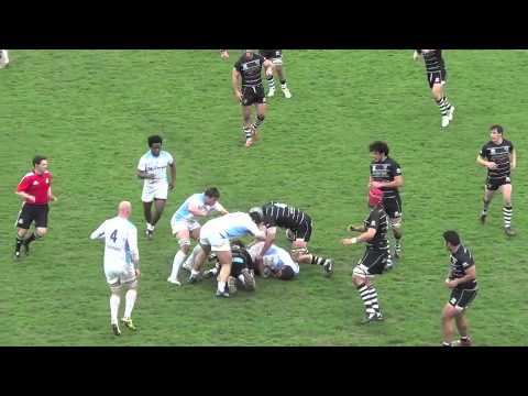 HL San Donà Petrarca