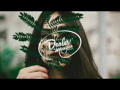 Seth XVI - Hurt You Back