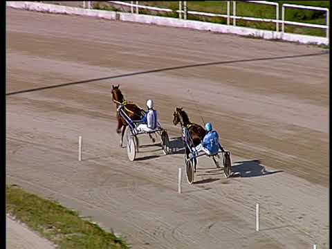 Trotto 21/06/2018 - 1ª prova di qualifica