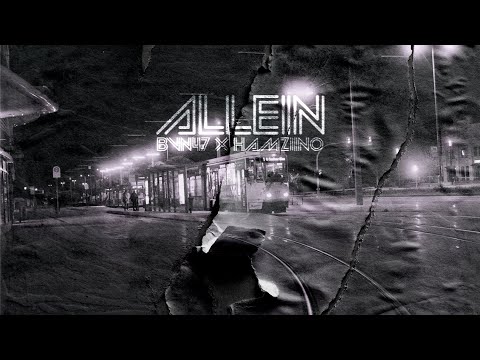 BVN47 x HAMZIINO  - "ALLEIN"