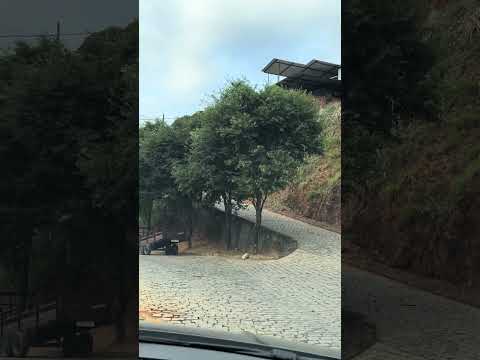 Estamos mostrando a cidade de Palma Minas Gerais ￼