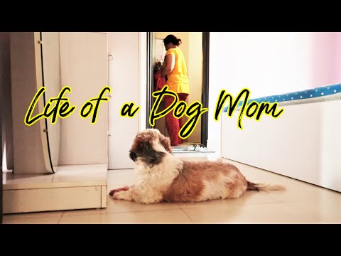 Life of a dog mom | They never leave my side | Dog mom's daily routine