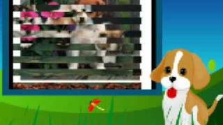 Bài hát Cutu - Nghệ sĩ trình bày Cleopatra Stratan