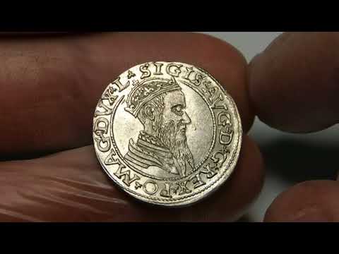 Zygmunt II August, Czworak 1565, Wilno – L/LITV