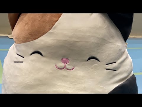 Särkänniemen salibandy cup