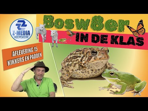 Bosw8er in de klas: Weetjes over kikkers en padden (aflevering 15)