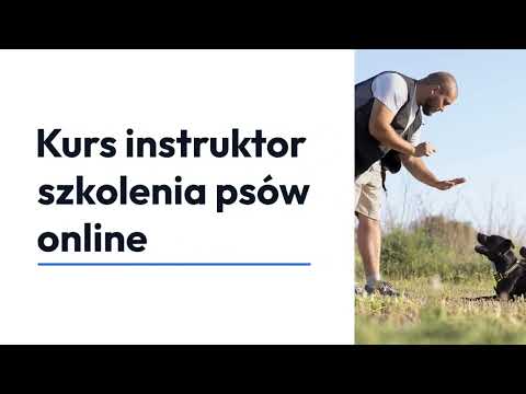 Kurs online: Instruktor szkolenia psów z certyfikatem za 99 zł z Kar-Group - Image 3