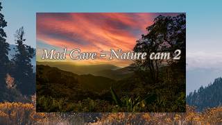 Mad Cave - Nature Cam 2 live webcam
