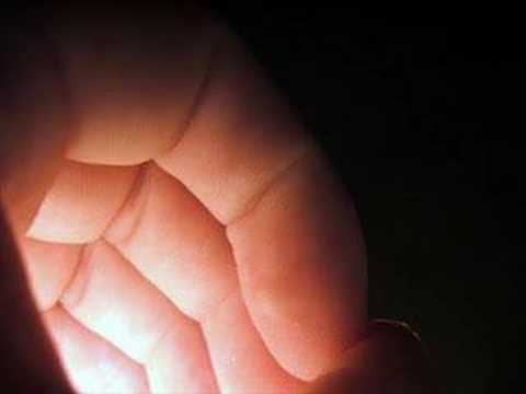 Cider House Rules - Main Title (Gottes Werk und Teufels...)