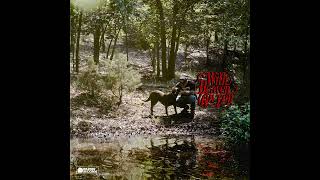 Zach Bryan - Plastic Cigarette