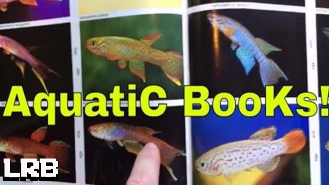🔴 Take a Look it's In a Book It's my Aquatic Library!