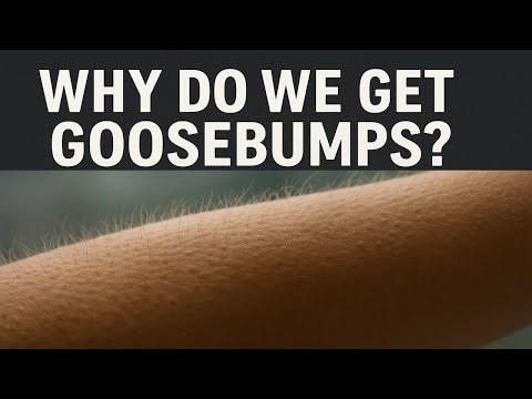 Why Do We Get Goosebumps When We’re Scared or Cold?
