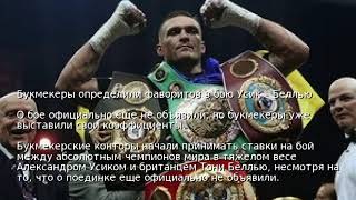 Букмекеры определили фаворитов в бою Усик – Беллью