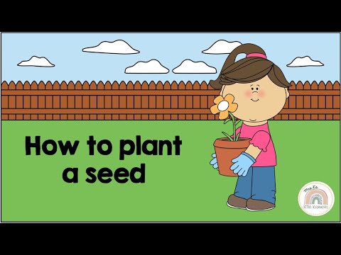 Teach Kids How to Plant a Seed | Procedure Writing & Literacy Skills