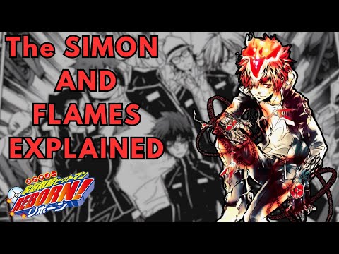 The Simon and The Earth Flames Explained: The Simon Ring's power source  | Katekyo Hitman Reborn