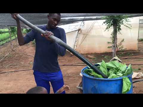 How to make organic fertilizer using plants