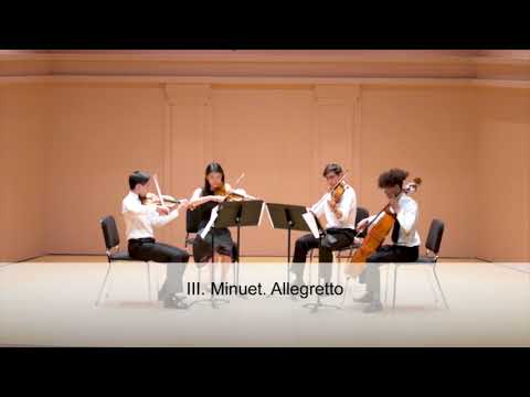 HYS Chamber Music - String Quartet