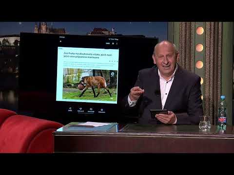 Stalo se - Show Jana Krause 20. 4. 2022