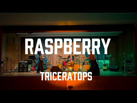 【cover】raspberry/TRICERATOPS