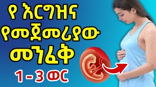 የእርግዝና የመጀመሪያው መንፈቅ ( ከ 1- 3 ወር) ያለው የእርግዝና ጊዜ | ምን ነገሮች ይፈጠራሉ ? የሚታዩ ምልክቶች እና መደረግ ያለባቸው ጥንቃቄዎች