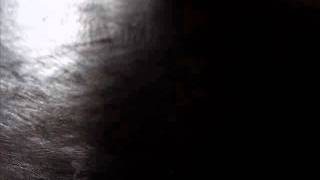 Miles Away by Colin Blunstone