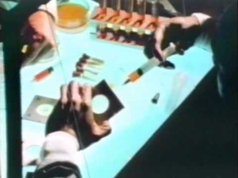 Minunile creatiei lui Dumnezeu (3/3): Omul - coroana creatiei