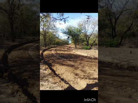 Entrevista en quichua a Marta Palavecino (traducción quichua Santiagueño)