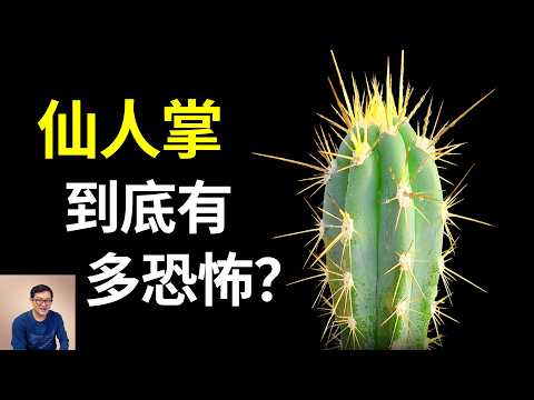 仙人掌到底有多強悍？堪稱植物界的駱駝，入選世界百大入侵物種！仙人掌果（刺梨）和火龍果什麼區別？【老肉雜談】#生物 #植物 #仙人掌 #知識 #科普