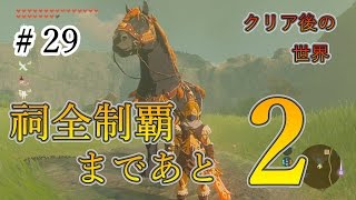 【ゼルダの伝説 BotW】クリア後の世界‼part29 最強の男を目指して。The Legend of Zelda Breath of the Wild