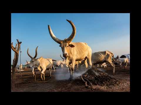 Ngoth malang 2# dinka collection volume