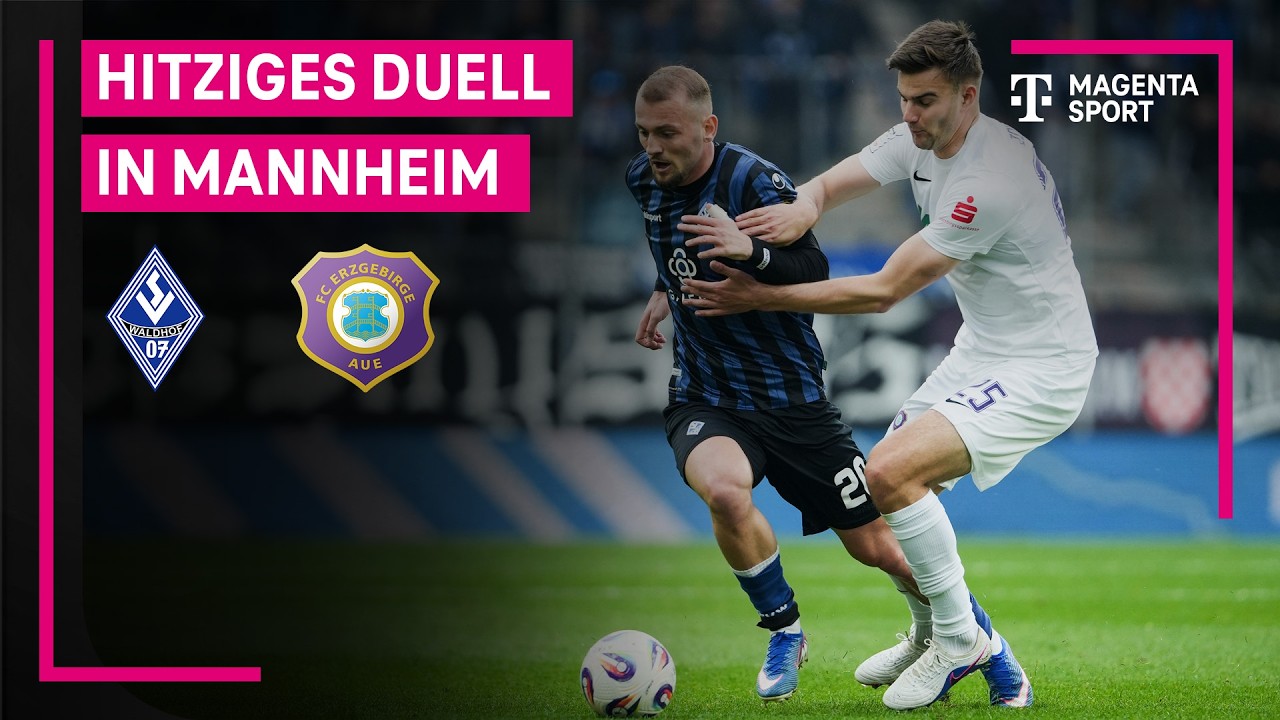 SV Waldhof Mannheim vs Erzgebirge Aue Highlights