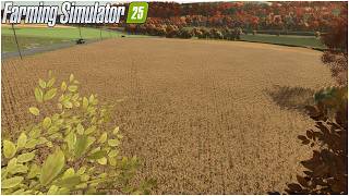 FS25 The Pichonnière Valley #28 - UN BEL TERRENO DI MAIS DA TREBBIARE - GAMEPLAY ITA